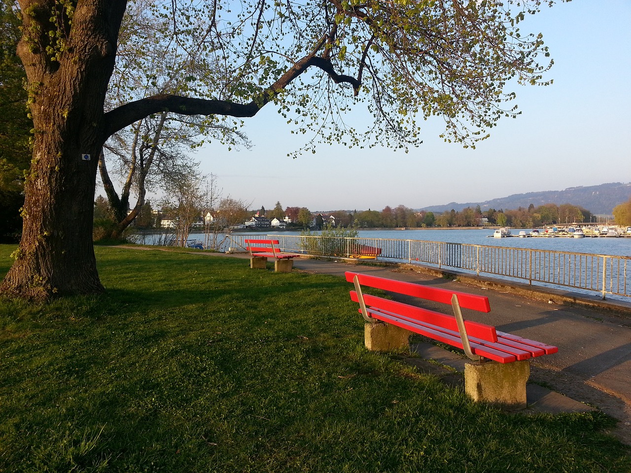 不仅是身体 不仅是身体