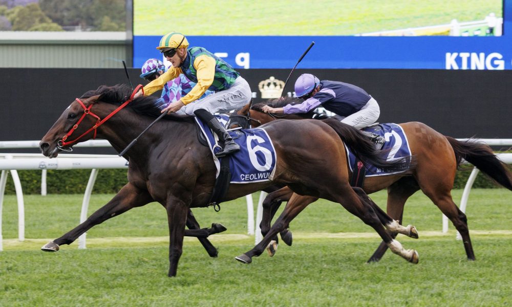 他通过精准 他通过精准